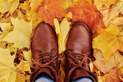 Low section of person standing on autumn leaves