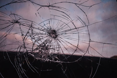 Close-up of spider web against sky