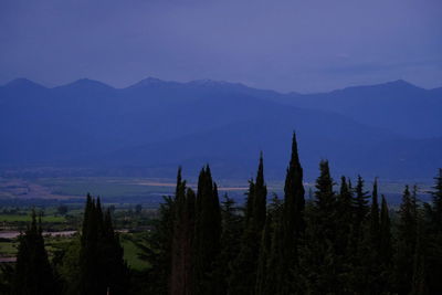 mountain