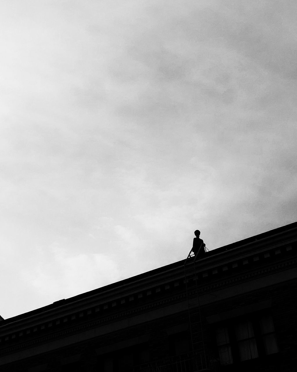 low angle view, architecture, building exterior, built structure, sky, silhouette, building, city, cloud - sky, high section, outdoors, cloud, statue, copy space, day, dusk, no people, sculpture, cloudy, residential building