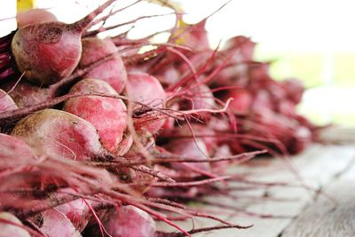 Close-up of fresh beetroot bulbs