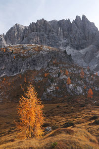 Scenic view of rock against sky