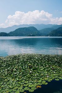 Scenic view of lake and mountains against sky