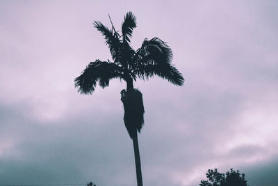 Low angle view of silhouette tree against sky at sunset
