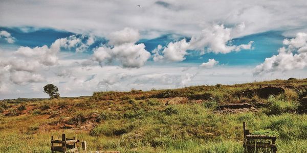 Scenic view of field against sky