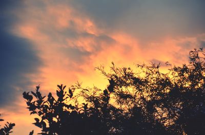 Low angle view of silhouette trees against dramatic sky