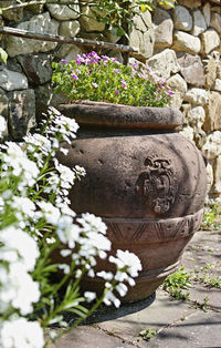 Potted plant against stone wall