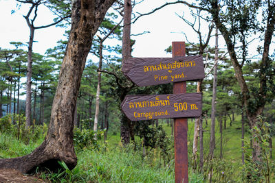 Information sign on tree trunk in forest