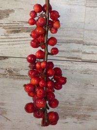 Close-up of red chili peppers