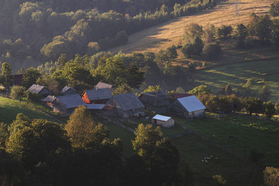 High angle view of trees and houses on field