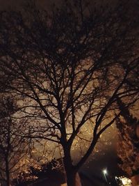 Low angle view of silhouette bare tree against sky at night