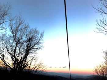 Low angle view of silhouette bare trees against sky