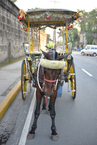 View of horse cart on street