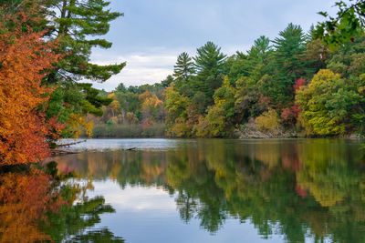 Scenic view of lake by trees against sky