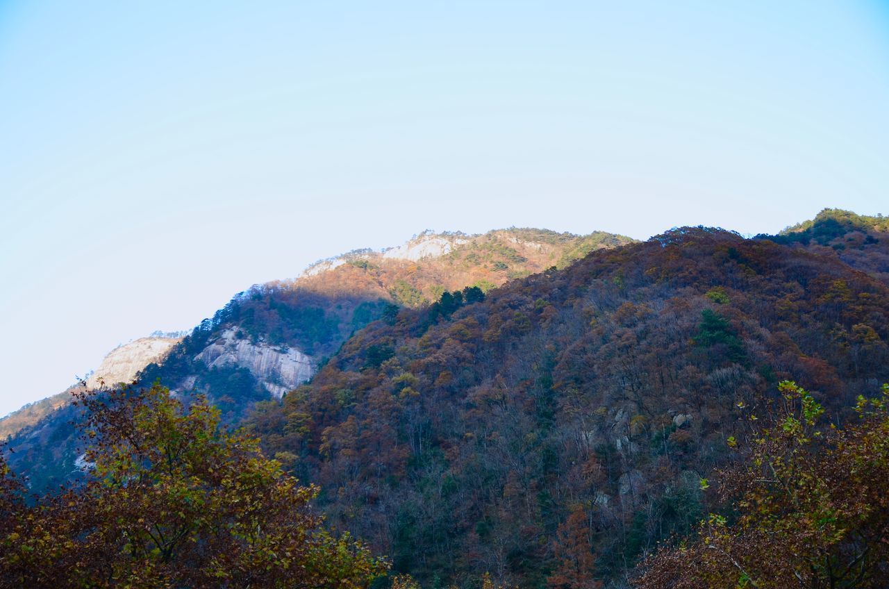 SCENIC VIEW OF MOUNTAIN AGAINST SKY