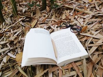 High angle view of open book on field