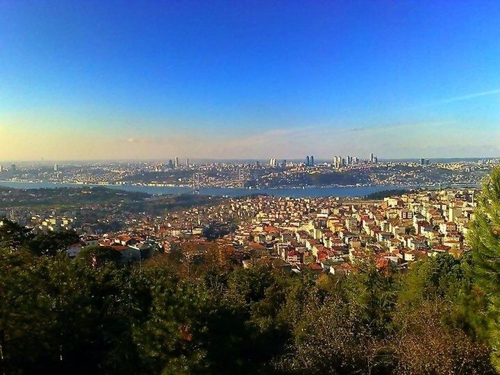 cityscape, building exterior, architecture, built structure, city, high angle view, sea, crowded, blue, water, residential district, sky, horizon over water, residential building, tree, residential structure, aerial view, copy space, scenics, city life