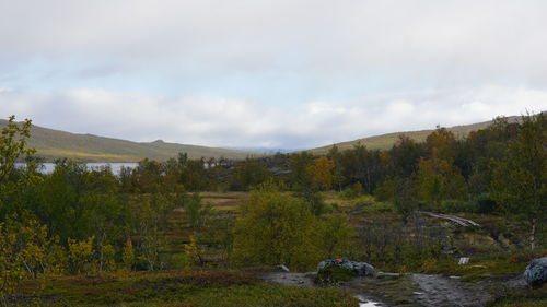 Scenic view of landscape against sky
