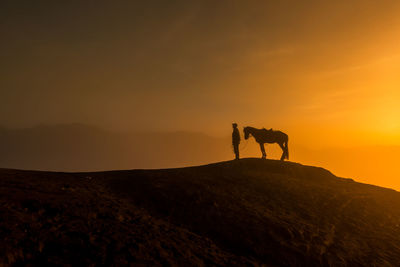 Silhouette man with horse on mountain against sky during sunset