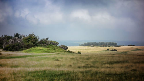 Scenic view of field against sky