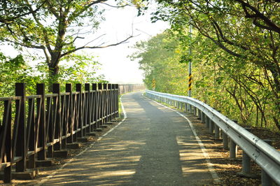 Empty footpath amidst trees