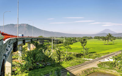 Beautiful landscape under the ambarawa ring road bridge in the morning in indonesia