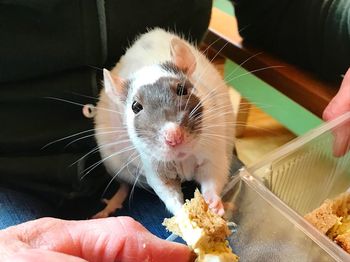 Close-up of hand eating food