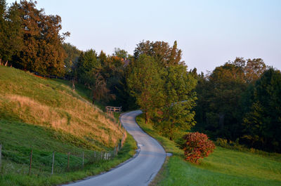 Road amidst trees against clear sky during autumn