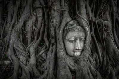 Statue of tree trunk