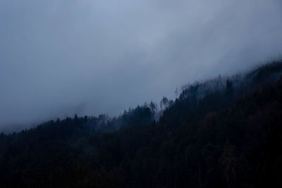 Low angle view of trees against sky