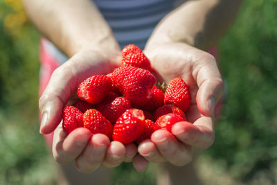 Woman holding strawberries