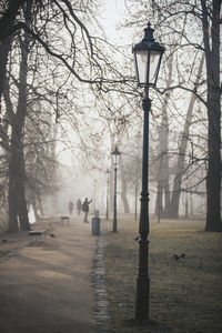 Street light in park