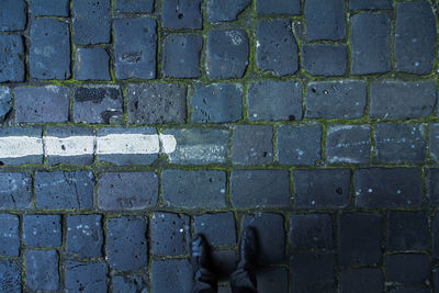 Low section of man standing on cobbled footpath