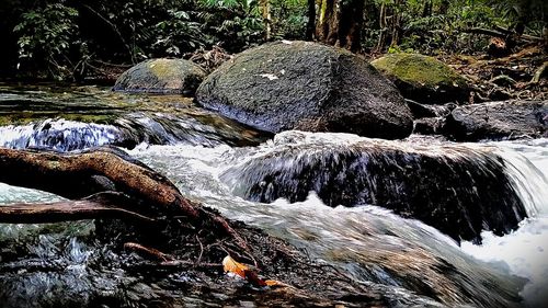 Stream flowing through rocks in forest