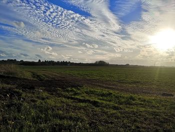 Scenic view of field against sky