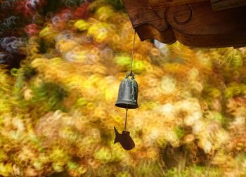 Close-up of bell hanging on wood