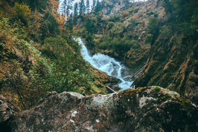 Scenic view of waterfall in forest