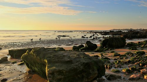 Scenic view of sea at sunset