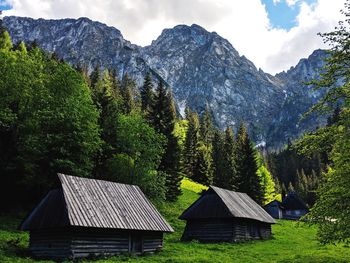 House amidst trees and plants in forest against mountains