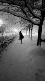 Silhouette of man walking on snow covered tree