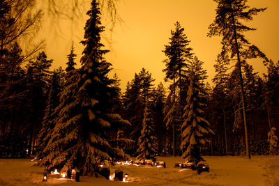 Trees and illuminated lights at cemetery on snow covered field at sunset