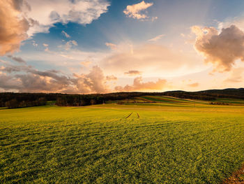 Scenic view of field against sky during sunset