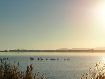 Scenic view of calm sea against clear sky