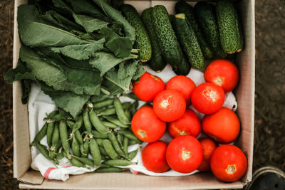 High angle view of fresh tomatoes