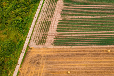 High angle view of agricultural field