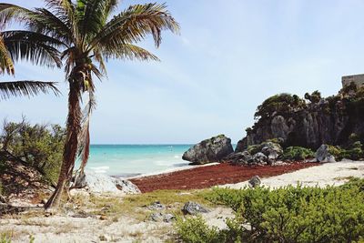 Scenic view of beach against sky