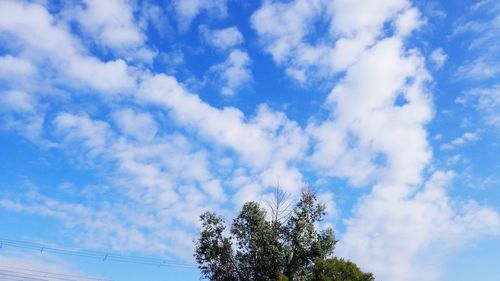 Low angle view of trees against blue sky