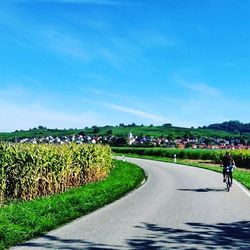 Country road along landscape