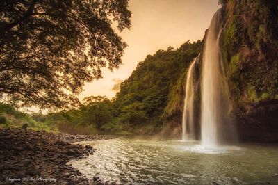 Scenic view of waterfall in forest