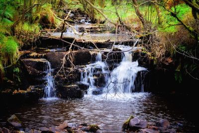 View of waterfall in forest